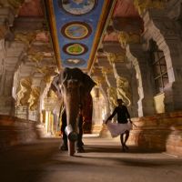 Bruno Tamiozzo “Colours of India”