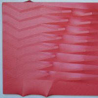 Alberto Biasi / Agostino Bonalumi "Avanguardia senza fine 1959-2013"