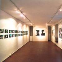 ANNACLARA DI BIASE: Flesh