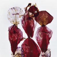 Anne & Patrick Poirier "Dystopia"