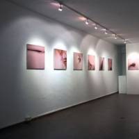 ALESSANDRO CASANOVA : La vie en rose
