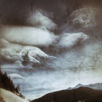 Franco Donaggio "Il bosco del pensiero"