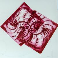 Grazia Sernia. Inspiegabilmente Aurea