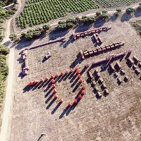 Maria Cristina Finucci. HELP, l’Età della plastica