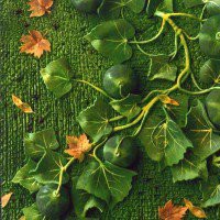 Piero Gilardi "Nature Forever"