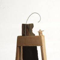Bruno Raspanti "Confronti"
