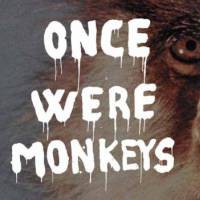 Mario Consiglio. Once were monkeys