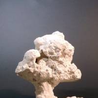 Elia Cantori. E=mc²