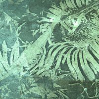 Politiche della natura _ masters