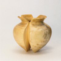 Coter / Lazza / Molinari "Oggetti inutili indispensabili"