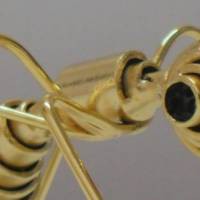 Carlo Pecorelli  "Uomini e insetti"