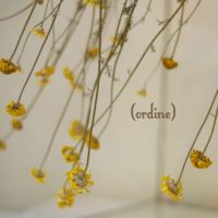Martina Angius. Ordine