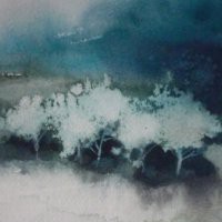 Luisella Cottino "Naturae"