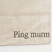 Ian Kiaer "Ping, murmer"