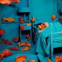 Sandy Skoglund  "Visioni Ibride"