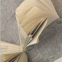 La Scrittura Visuale  In Italia Dopo Il 1973