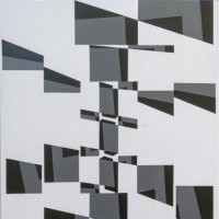 Raffaella Torrisi "Inganni percettivi"