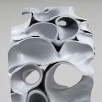 Tony Cragg "Skulls etc."