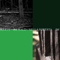 Im Wald/La Foresta