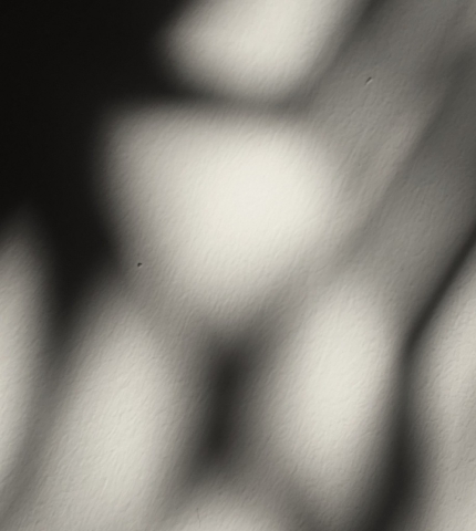 Piergiuseppe Anselmo. Haiku, in the blink of an eye