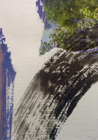 Rosa Bosco. Suggestioni – dal bosco e nel bosco Rosa Bosco. Suggestioni – dal bosco e nel bosco