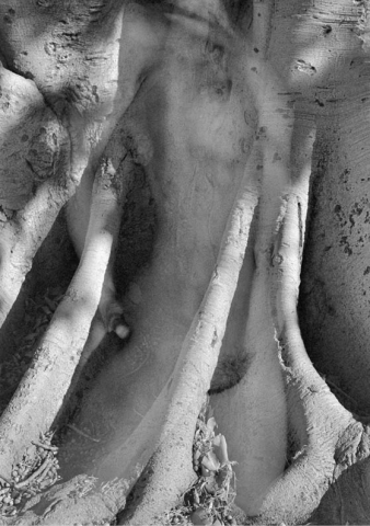 Maria Erovereti "IMMANENZE 1995" Maria Erovereti "IMMANENZE 1995"