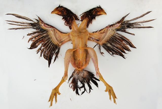 POST – Young Albanian Artists POST – Young Albanian Artists