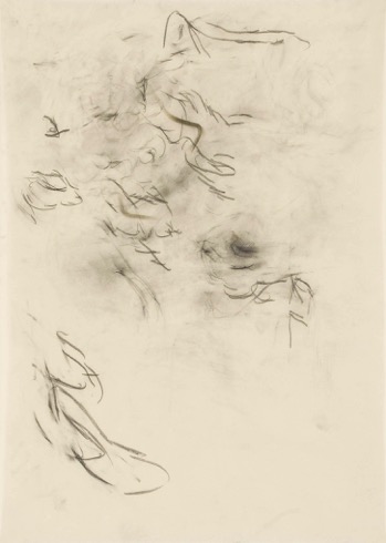 David Schutter. Pergamena David Schutter. Pergamena