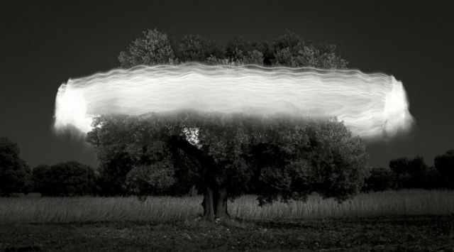 Ugo Ricciardi. Nightscapes