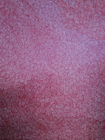 Francesco Polenghi "Labirinti Concettuali"