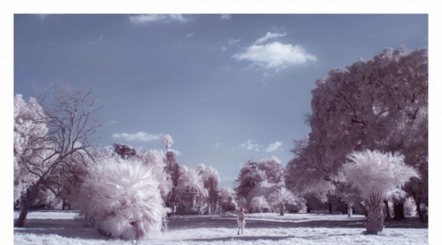 Pietro Pasolini. fotografie Pietro Pasolini. fotografie