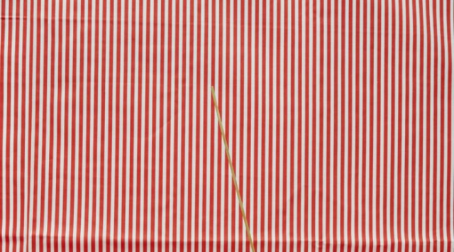 Annette Kelm  "Springs"