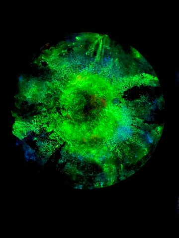 PAOLA H&Uuml;LLER  "MESSAGGIO NELLA BOTTIGLIA"       JELMONI STUDIO GALLERY