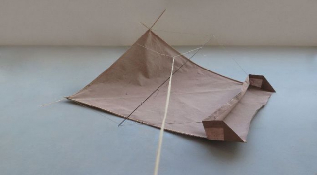 Milena Rossignoli "Limiti di Curvatura"