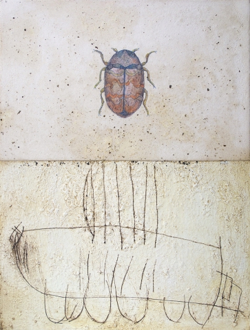 Alfio Edoardo Antognetti.  kleines entomologisches