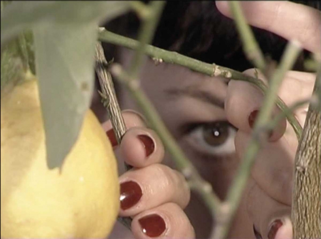 Delfina Marcello "Love Accessories"