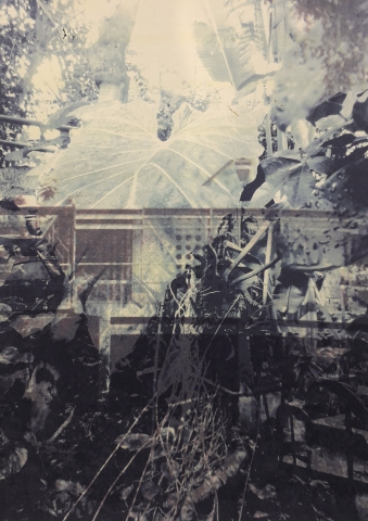 Francesco Patriarca &ldquo;Tropical house&rdquo;