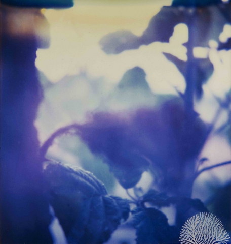 Fabrizio Ceccardi &ldquo;Landscapes&rdquo;