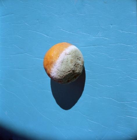 Graziano Folata. Aquemini Graziano Folata. Aquemini