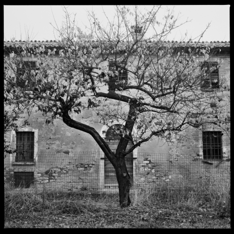 Giangiorgio Lombardo. Tracce Giangiorgio Lombardo. Tracce