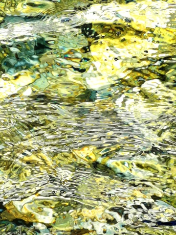 Armaroli, Carafì, Isolabella, Magri, Pica "Sguardi sul mondo"