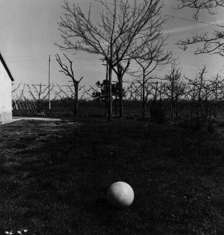 Guido Guidi "Lunario" Guido Guidi "Lunario"