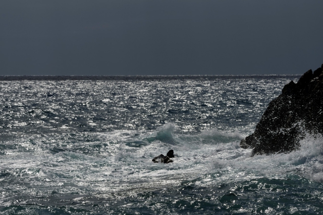 Guido Alimento. Melodie della natura