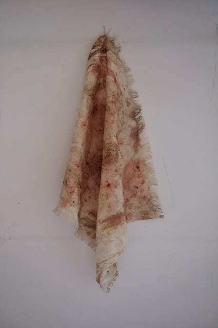 Il sangue delle donne. Tracce di rosso sul panno bianco Il sangue delle donne. Tracce di rosso sul panno bianco