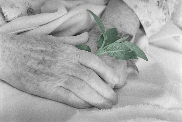 Maria Erovereti "Un piccolo mondo"