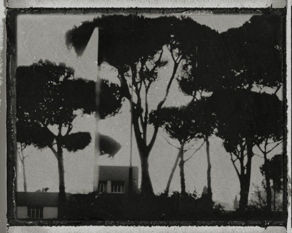 &ldquo;Fotografia. Nuove produzioni 2020 per la Collezione Roma&rdquo;