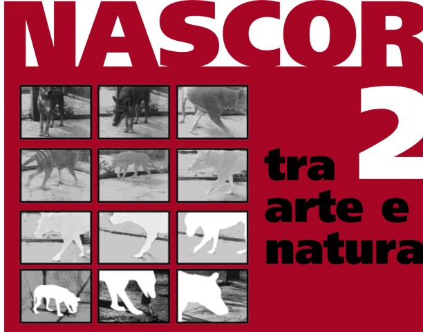 Nascor tra arte e natura 2 Nascor tra arte e natura 2