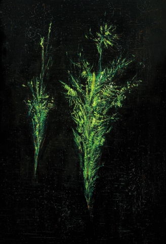 Claudio Palmieri, Natural-mente. Opere dal 1985 al 2015 Claudio Palmieri, Natural-mente. Opere dal 1985 al 2015