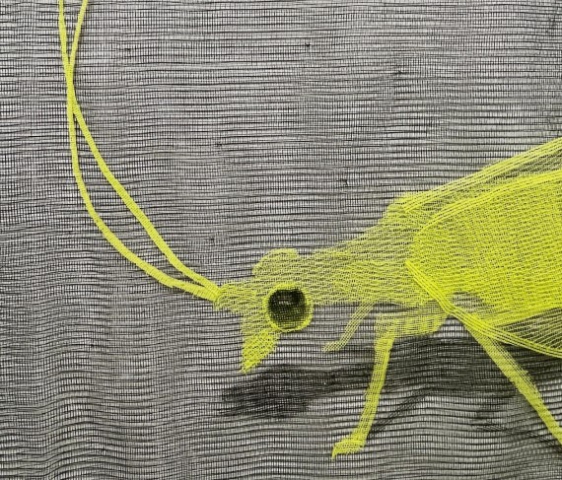 Hilario Isola &ldquo;Rurale&rdquo;