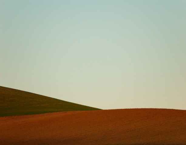 Michele di Palo - #newvisualexperience Michele di Palo - #newvisualexperience